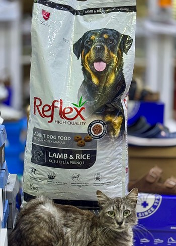 Reflex Kuzu Etli ve Pirinçli Yetişkin Köpek Maması 15kg