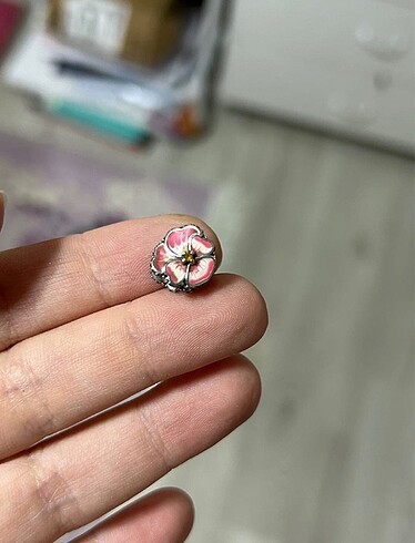 Pandora Pandora charm