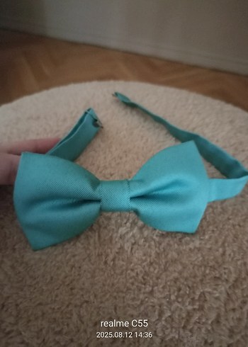 Erkek Turkuaz Papyon - Görsel 2