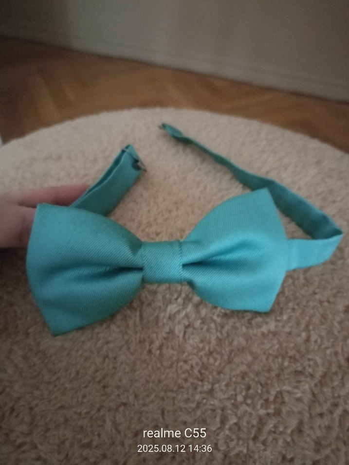 Erkek Turkuaz Papyon - Görsel 2