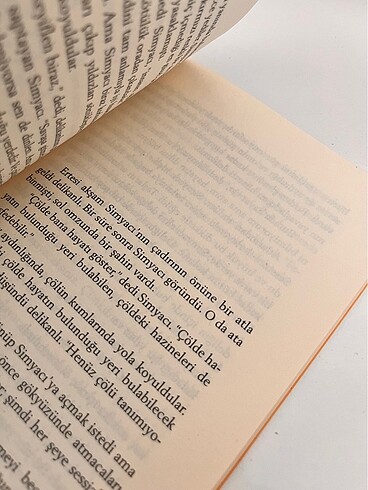Beden Simyacı Paulo Coelho kitabı