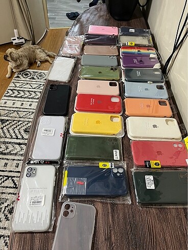 İphone 11 Lansman Kılıfları