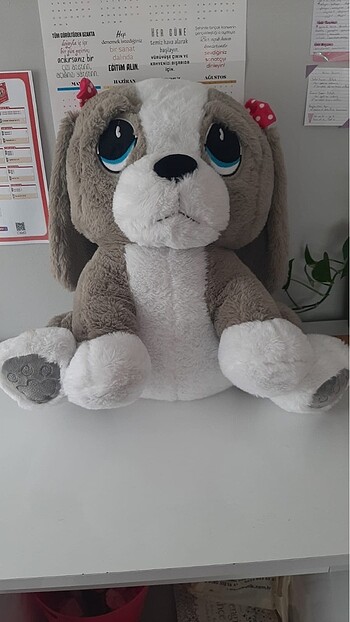  Beden Renk Peluş oyuncak