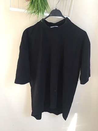 Zara dik yaka basic
