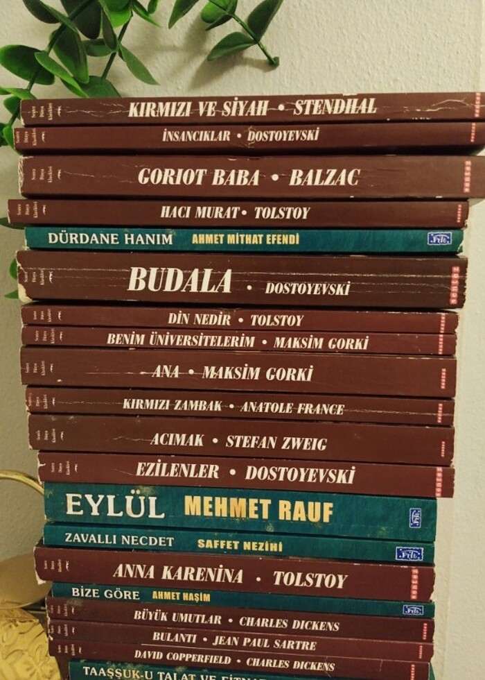 Kitap roman - Görsel 2