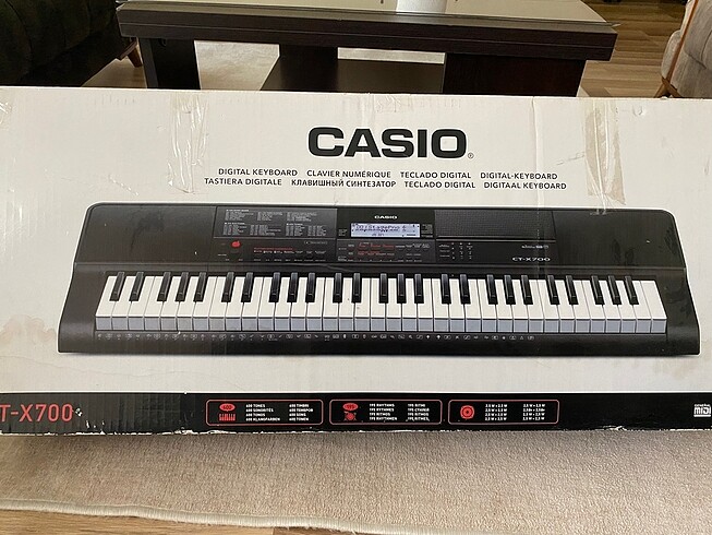 CASIO CTX-700 ORG