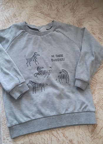 Gri Erkek Çocuk Zebra Desenli Sweatshirt