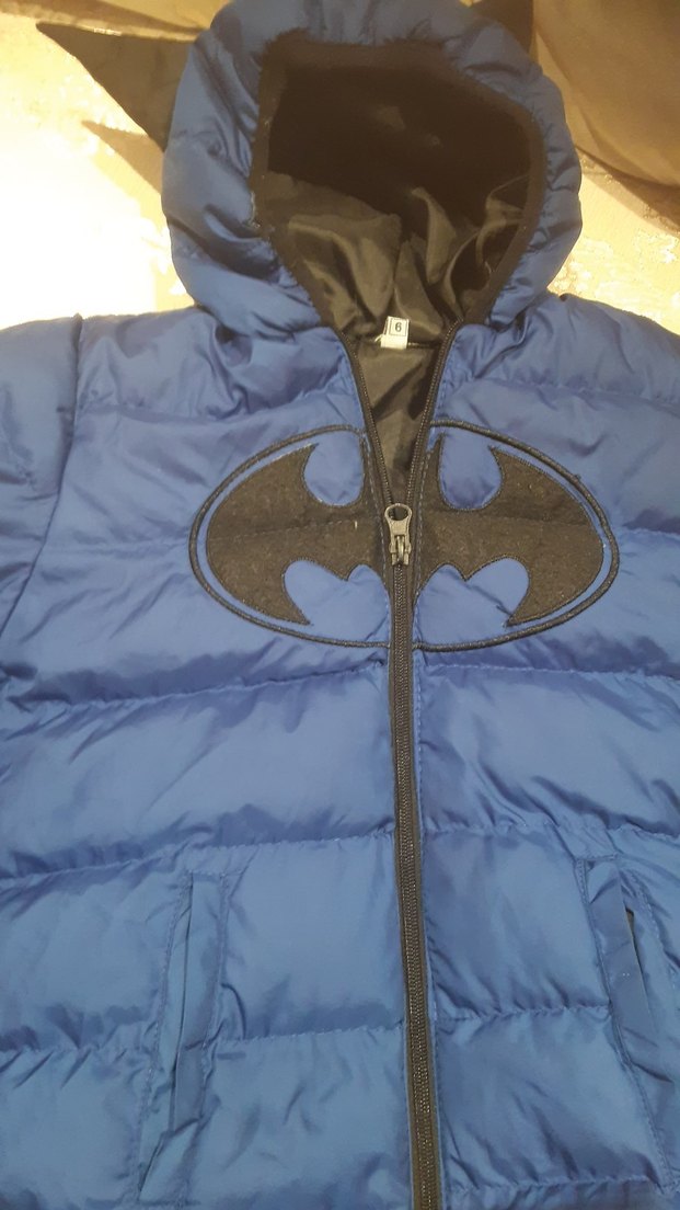 Erkek Çocuk Mavi Fermuarlı Mont batmen mont - Görsel 3