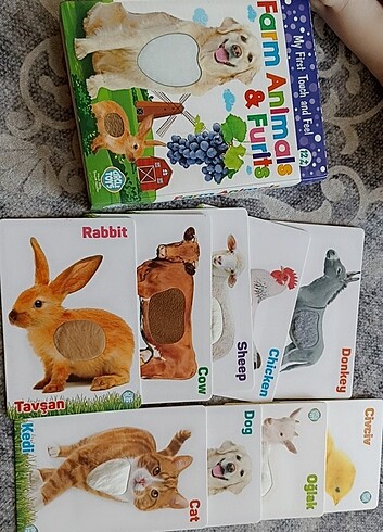 Dokun Hisset Eğitici Kartlar 