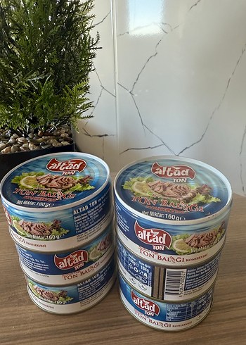 Beden Vestel Bej Tost Makinesi