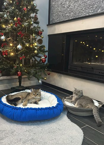 Renkli Leopar Desenli kedi ve kopek Uyku Minderi - Görsel 13