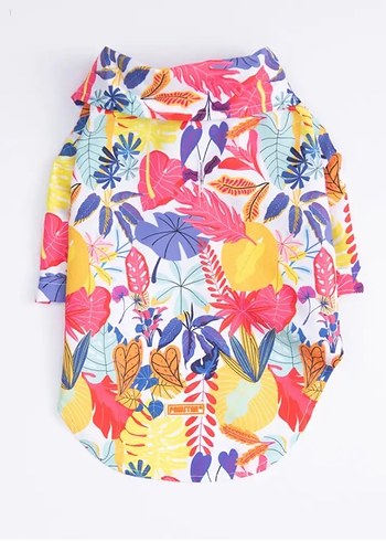 Pawstar Köpek Kıyafeti 4XL Beden - Görsel 2