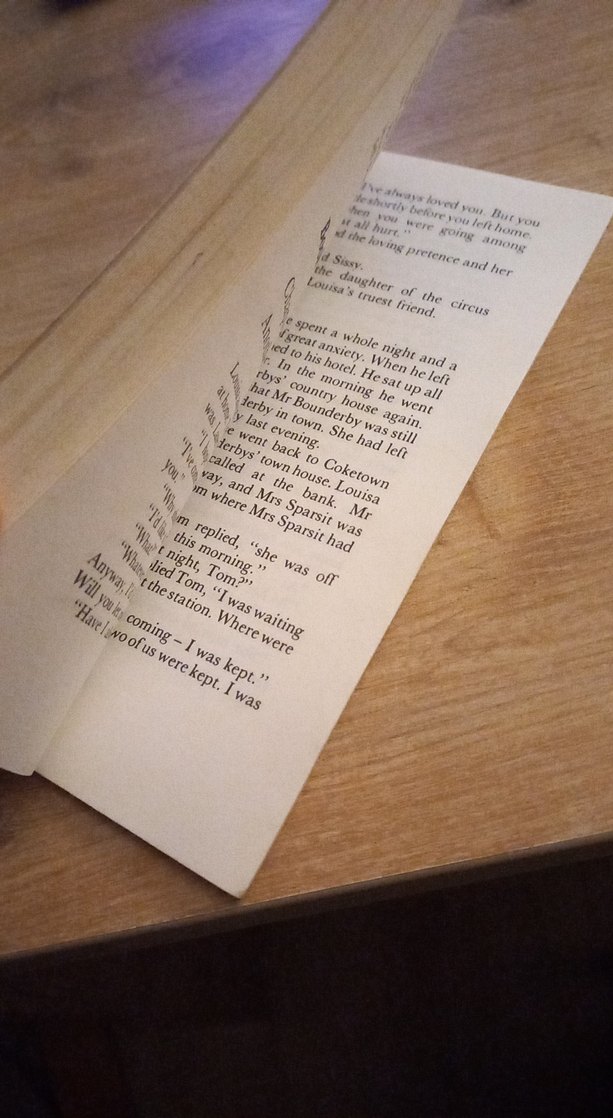 Hard Times - Charles Dickens - Görsel 3