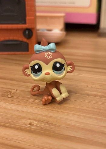 Lps maymun miniş