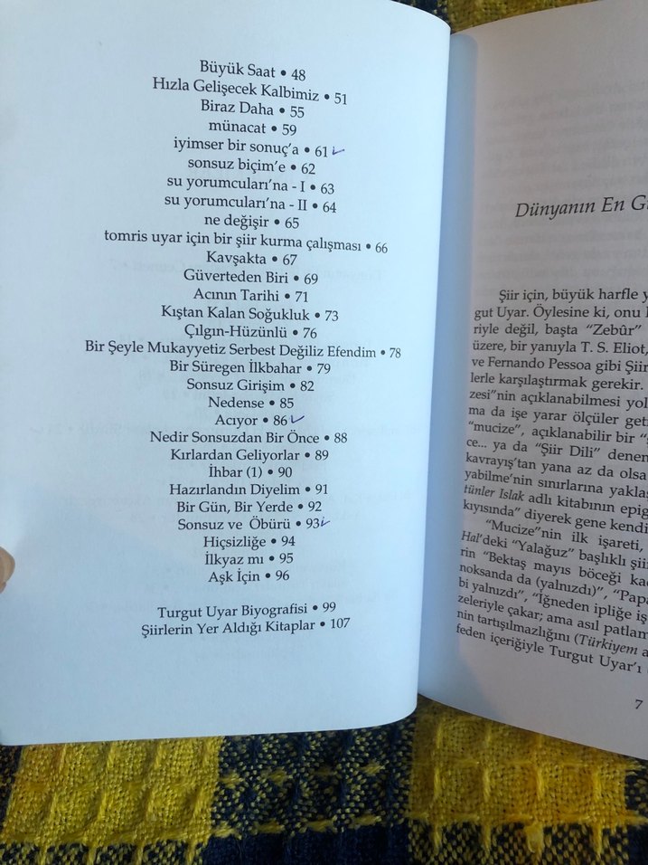Turgut Uyar - Göğe Bakma Durağı Kitabı - Görsel 5