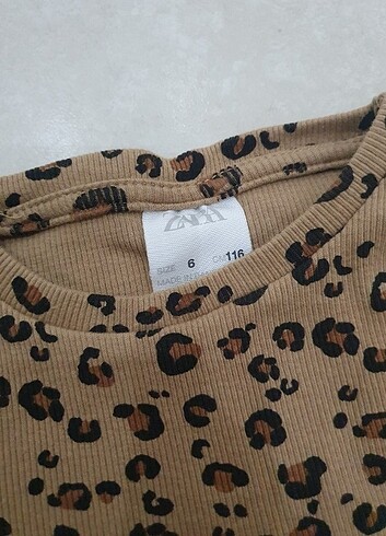 Zara Zara Body