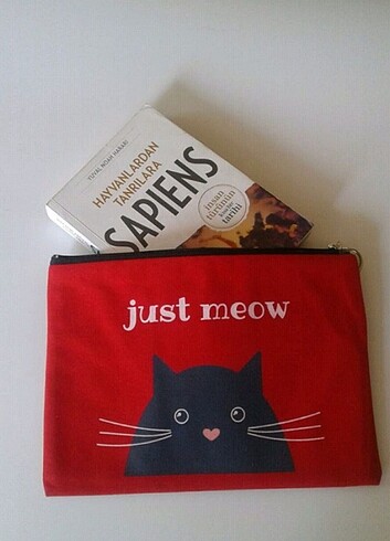 #kedi #kedli #kedibaski #keditasarim