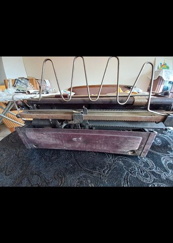 Kahverengi Ontima Daktilo - Görsel 7