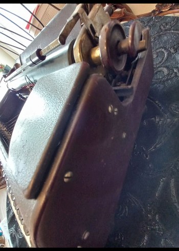 Kahverengi Ontima Daktilo - Görsel 8