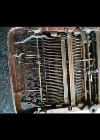 Kahverengi Ontima Daktilo - Görsel 5