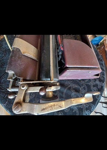 Kahverengi Ontima Daktilo - Görsel 6