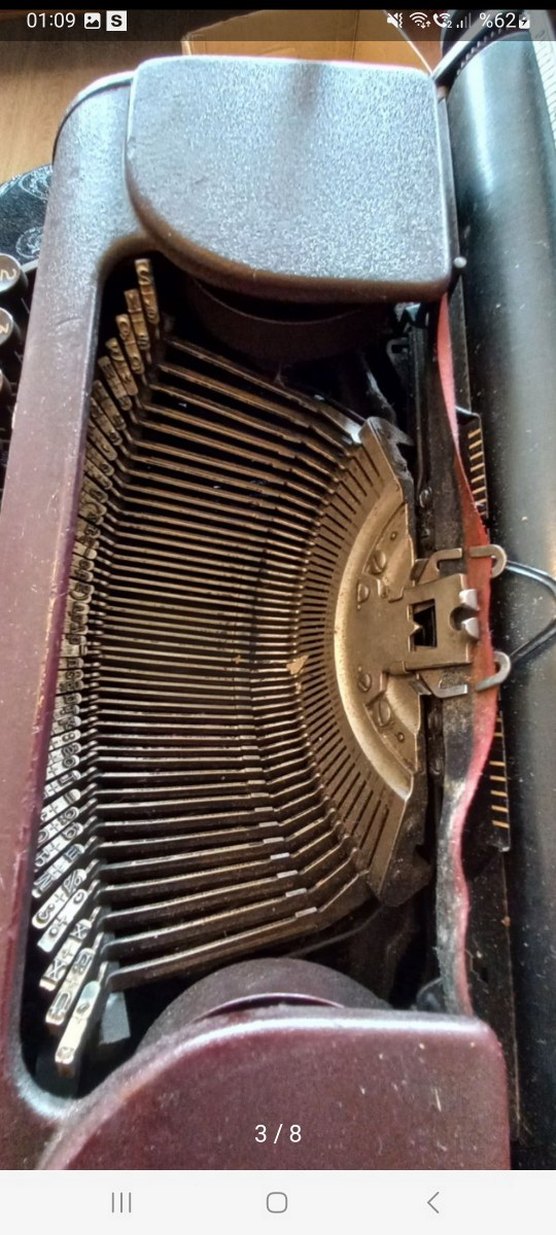 Kahverengi Ontima Daktilo - Görsel 3