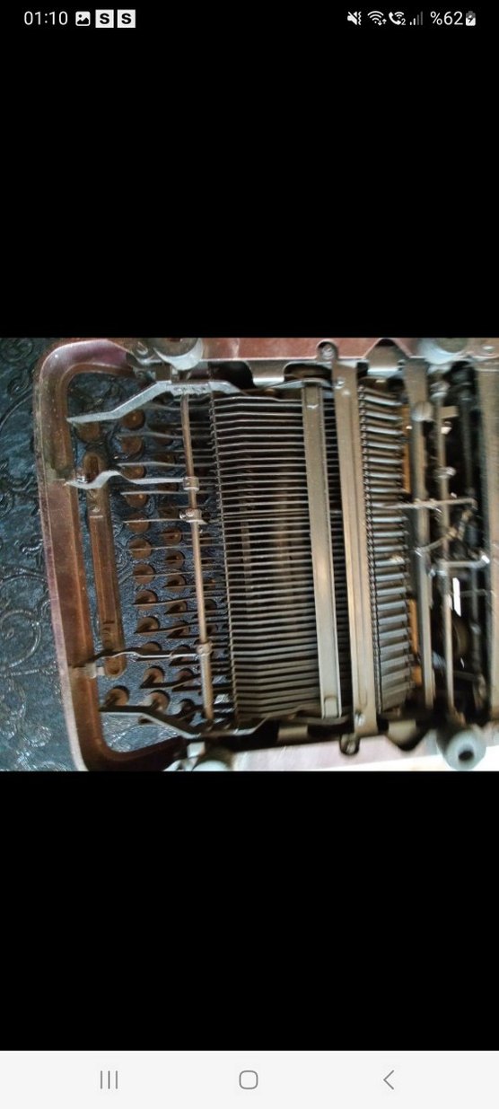 Kahverengi Ontima Daktilo - Görsel 5