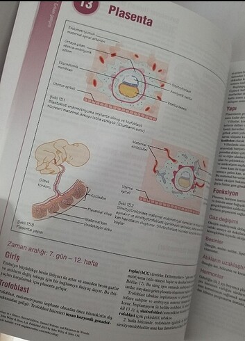  Embriyoloji kitap