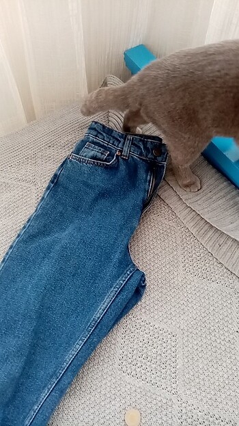 Diğer Jean pantolon 