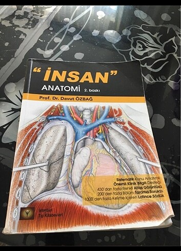 İnsan anatomi