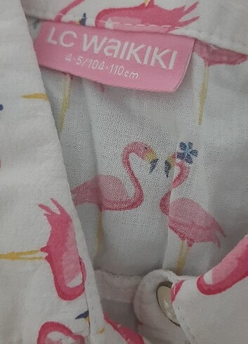 Gömlek 