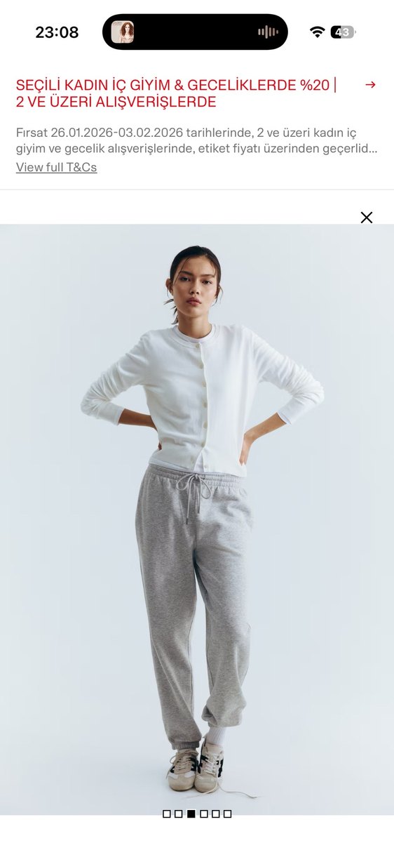 Gri Normal Boy Rahat Kesim Kadın Eşofman Altı - Görsel 4