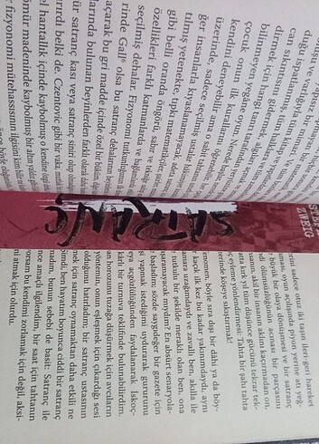 Beden Renk Stefan zweigh satranç kitap