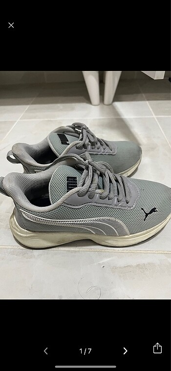 Diğer Defosuz Puma