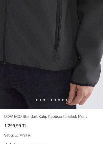 LCW Gri Kapüşonlu Fermuarlı Erkek Ceket mont - Görsel 6