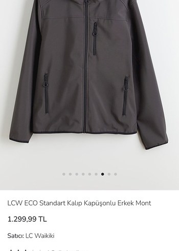 LCW Gri Kapüşonlu Fermuarlı Erkek Ceket mont - Görsel 4