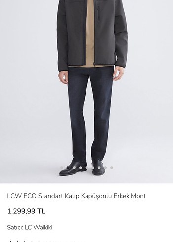 LCW Gri Kapüşonlu Fermuarlı Erkek Ceket mont - Görsel 7