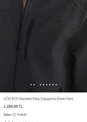 LCW Gri Kapüşonlu Fermuarlı Erkek Ceket mont - Görsel 5