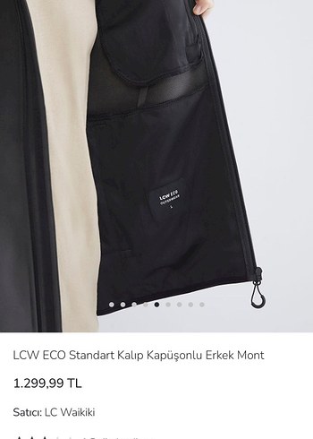 LCW Gri Kapüşonlu Fermuarlı Erkek Ceket mont - Görsel 9