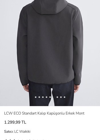 LCW Gri Kapüşonlu Fermuarlı Erkek Ceket mont - Görsel 2