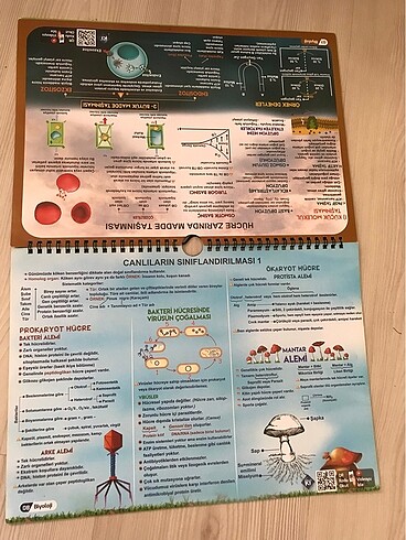 Poster Not