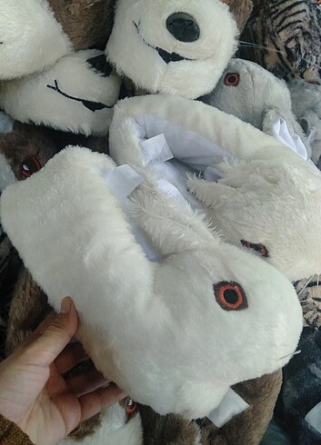 Pondug