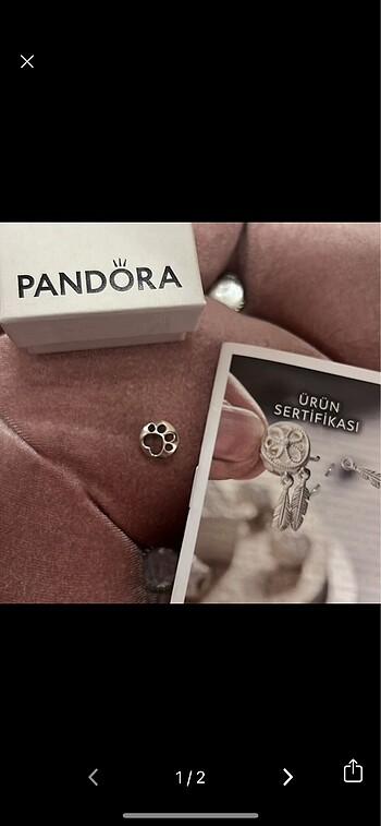 Pandora pati charm