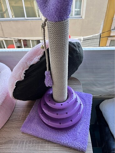  kedi tırmalama tahtası