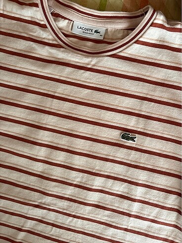 lacoste tişört