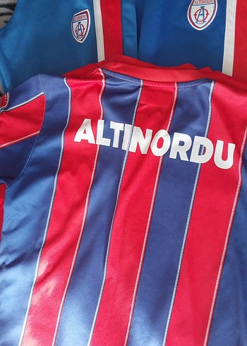 altinordu forma takımı Kırmızı Erkek Sweatshirt - Görsel 3