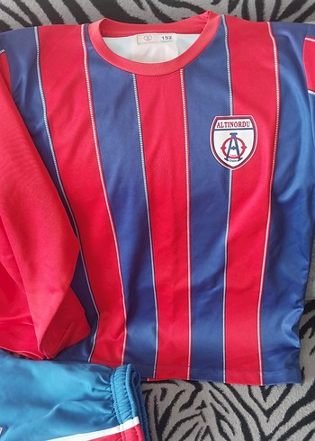 altinordu forma takımı Kırmızı Erkek Sweatshirt - Görsel 2