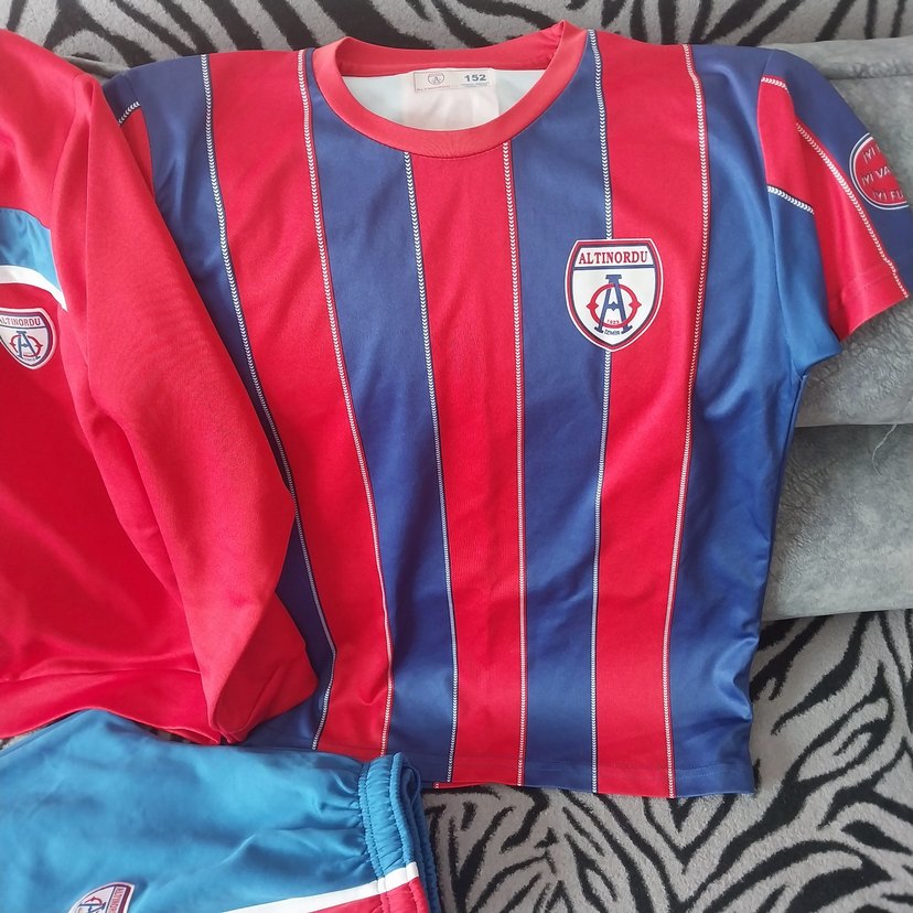 altinordu forma takımı Kırmızı Erkek Sweatshirt - Görsel 2