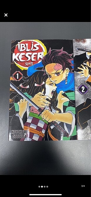 Beden Renk Demon slayer