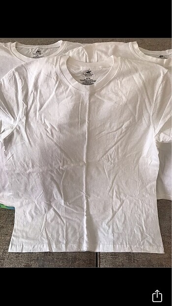 U.S Polo Assn. 3 adet Fanila